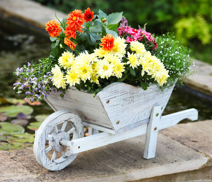 Whitewashed Wheelbarrow Planter